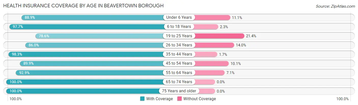 Health Insurance Coverage by Age in Beavertown borough