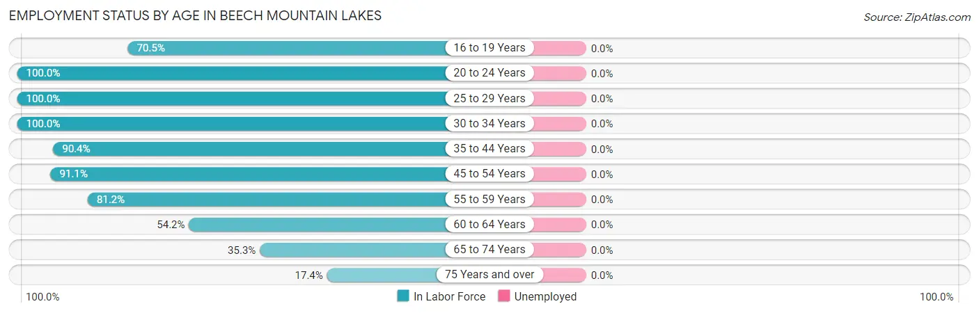 Employment Status by Age in Beech Mountain Lakes