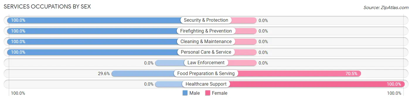 Services Occupations by Sex in Beech Mountain Lakes