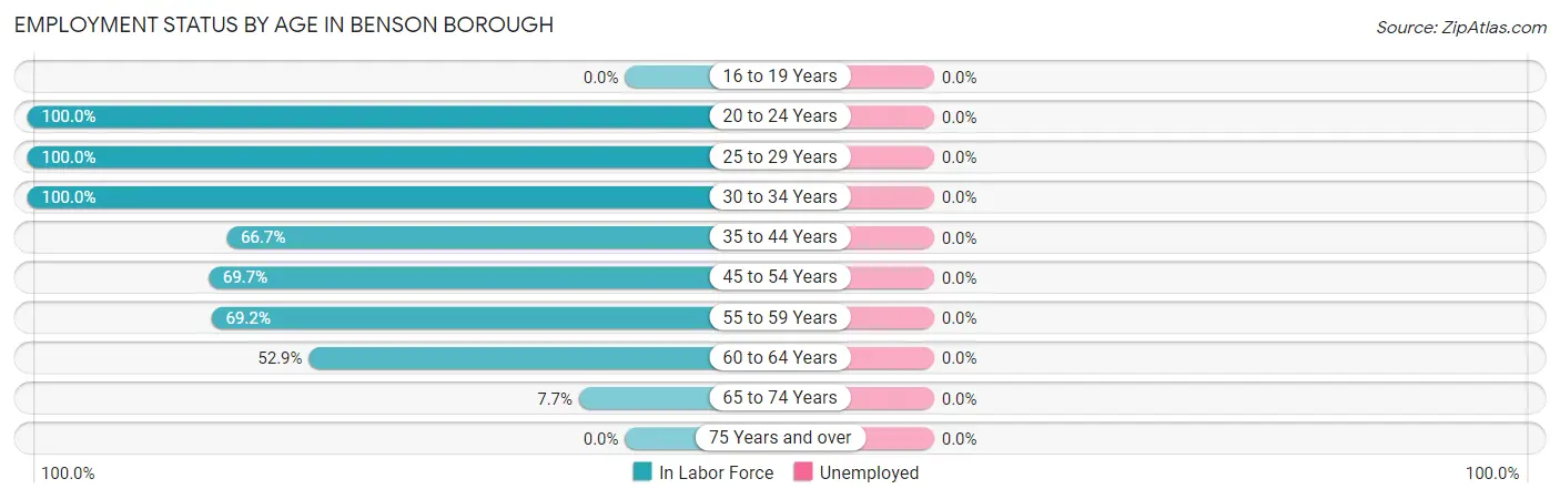 Employment Status by Age in Benson borough