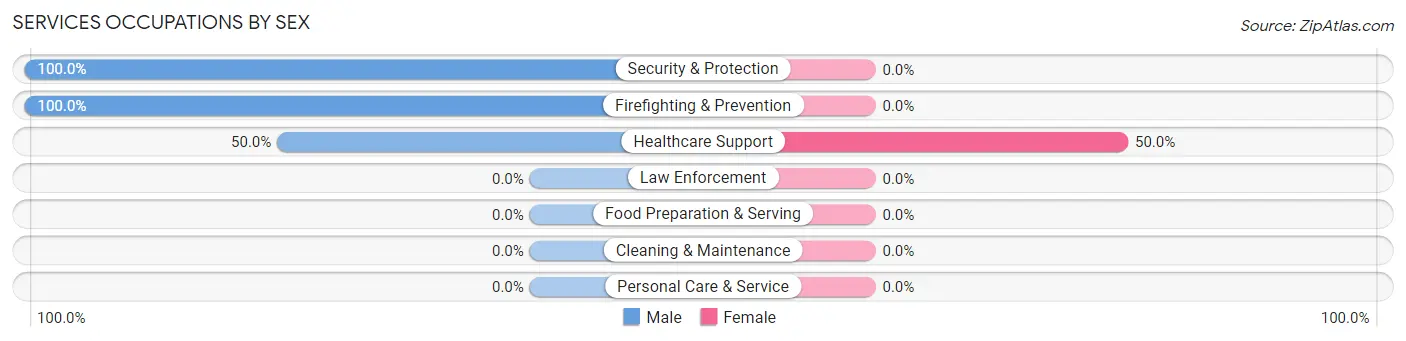 Services Occupations by Sex in Benson borough