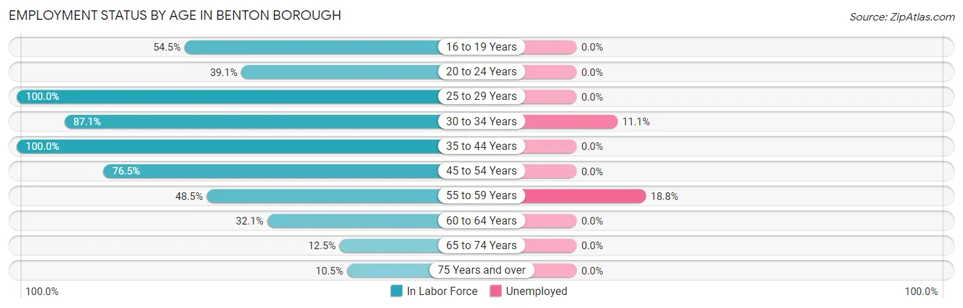 Employment Status by Age in Benton borough