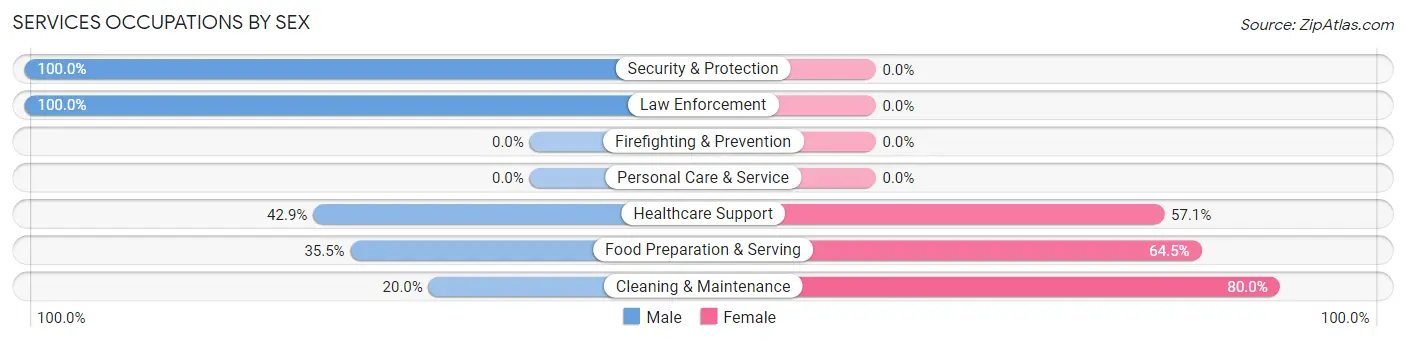 Services Occupations by Sex in Benton borough