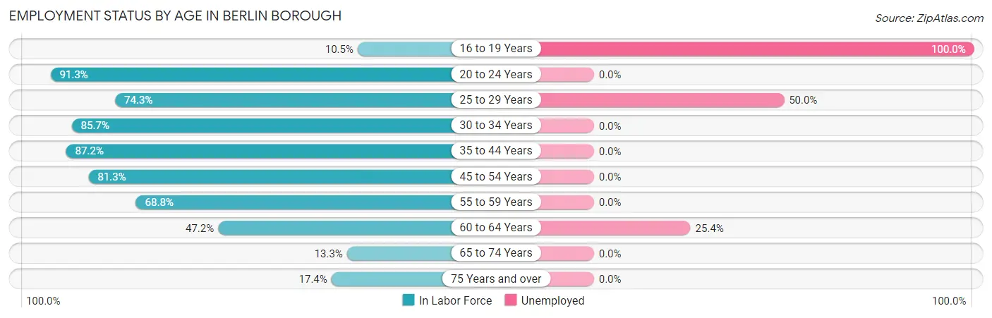 Employment Status by Age in Berlin borough