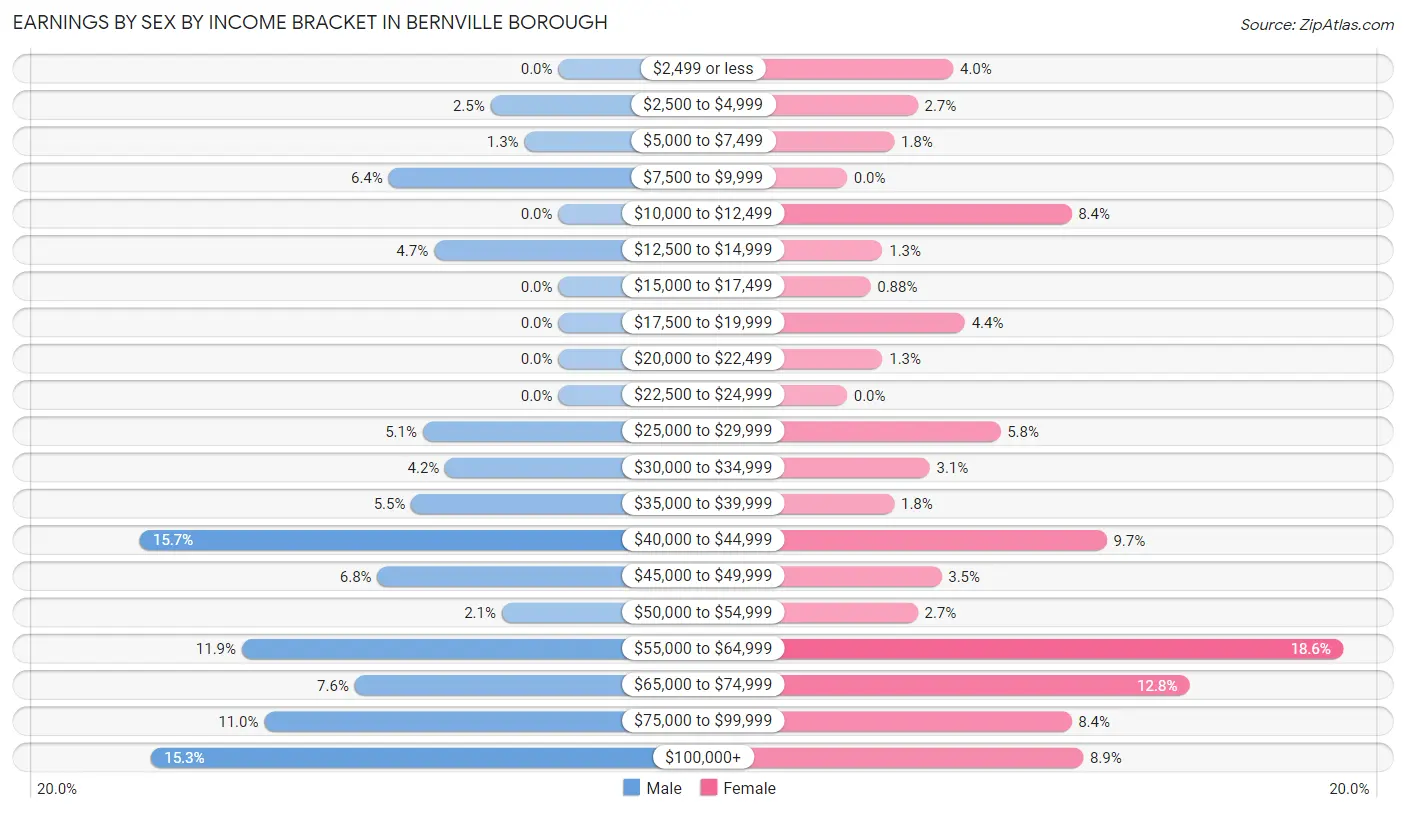 Earnings by Sex by Income Bracket in Bernville borough