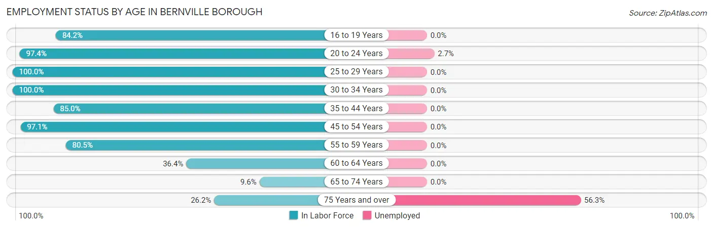 Employment Status by Age in Bernville borough