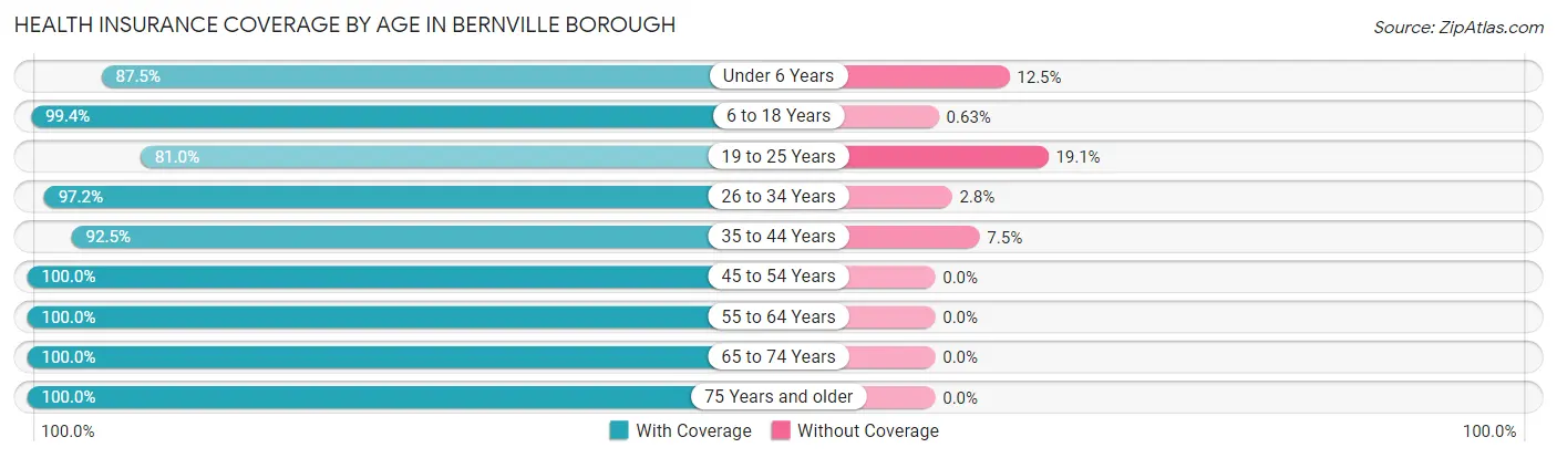 Health Insurance Coverage by Age in Bernville borough