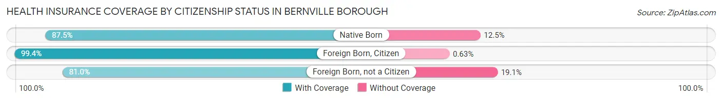 Health Insurance Coverage by Citizenship Status in Bernville borough