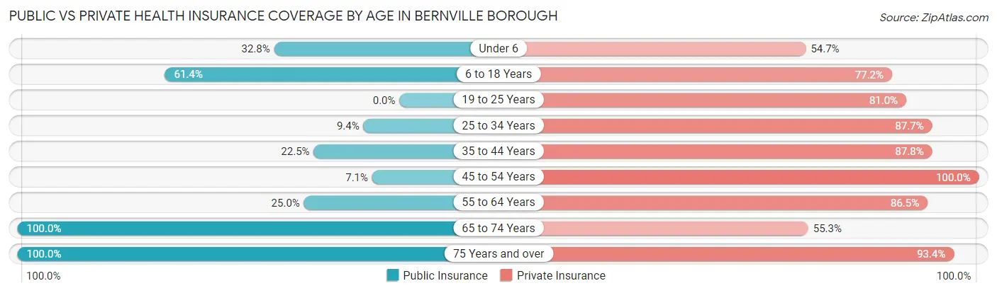 Public vs Private Health Insurance Coverage by Age in Bernville borough