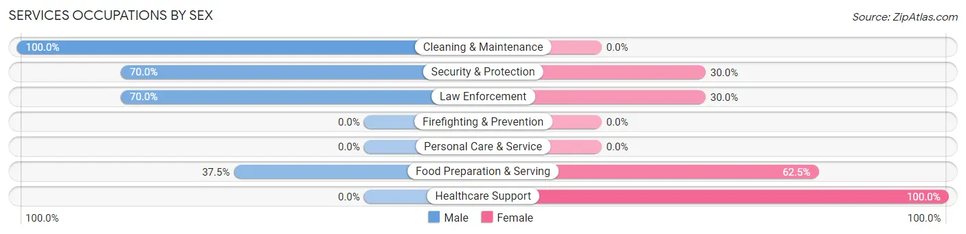 Services Occupations by Sex in Bernville borough