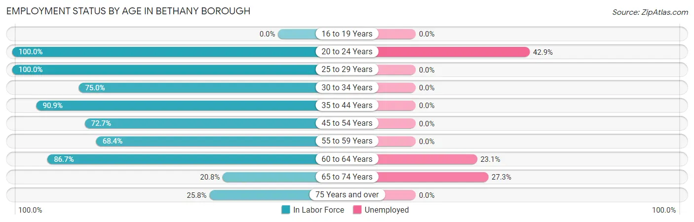 Employment Status by Age in Bethany borough