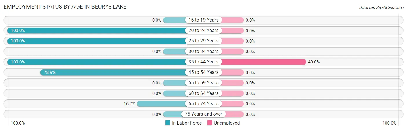 Employment Status by Age in Beurys Lake