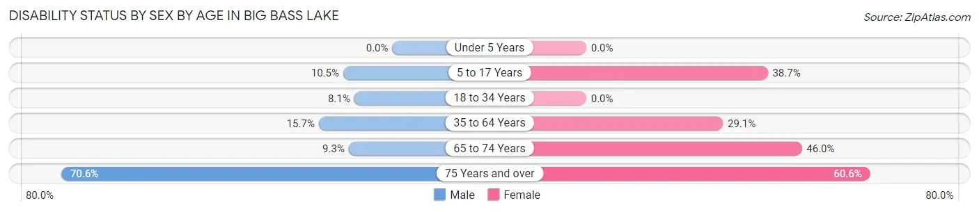Disability Status by Sex by Age in Big Bass Lake