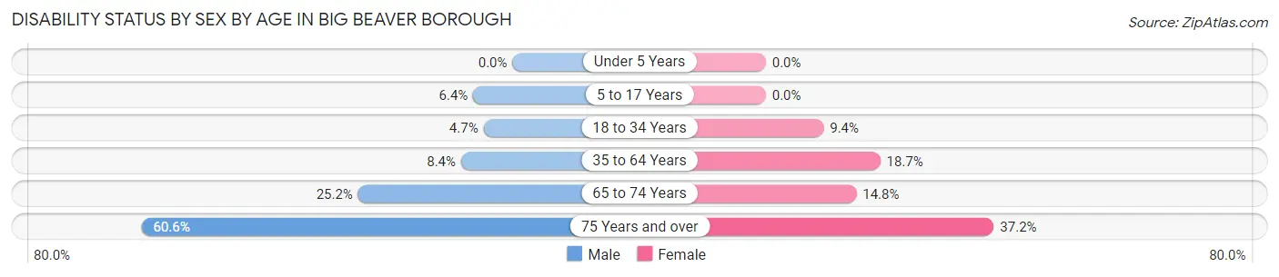Disability Status by Sex by Age in Big Beaver borough