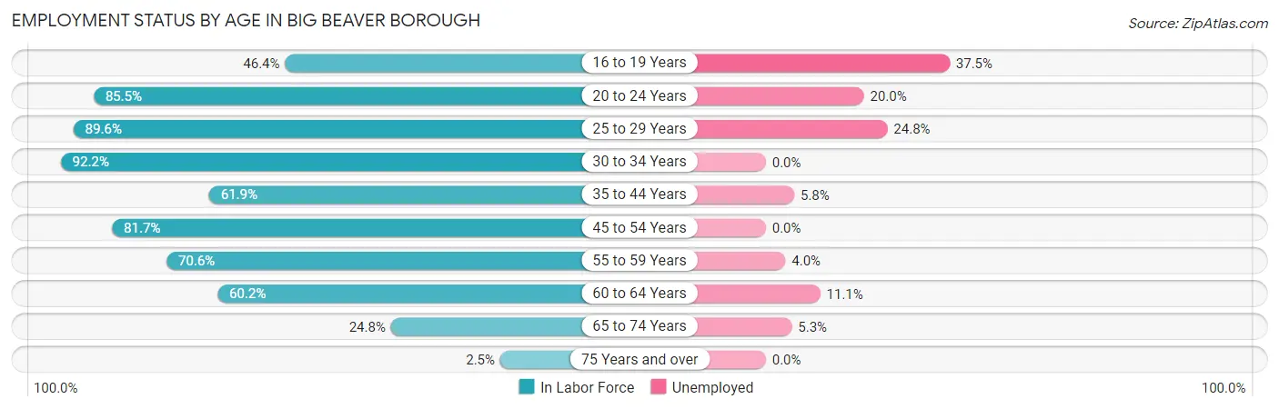 Employment Status by Age in Big Beaver borough