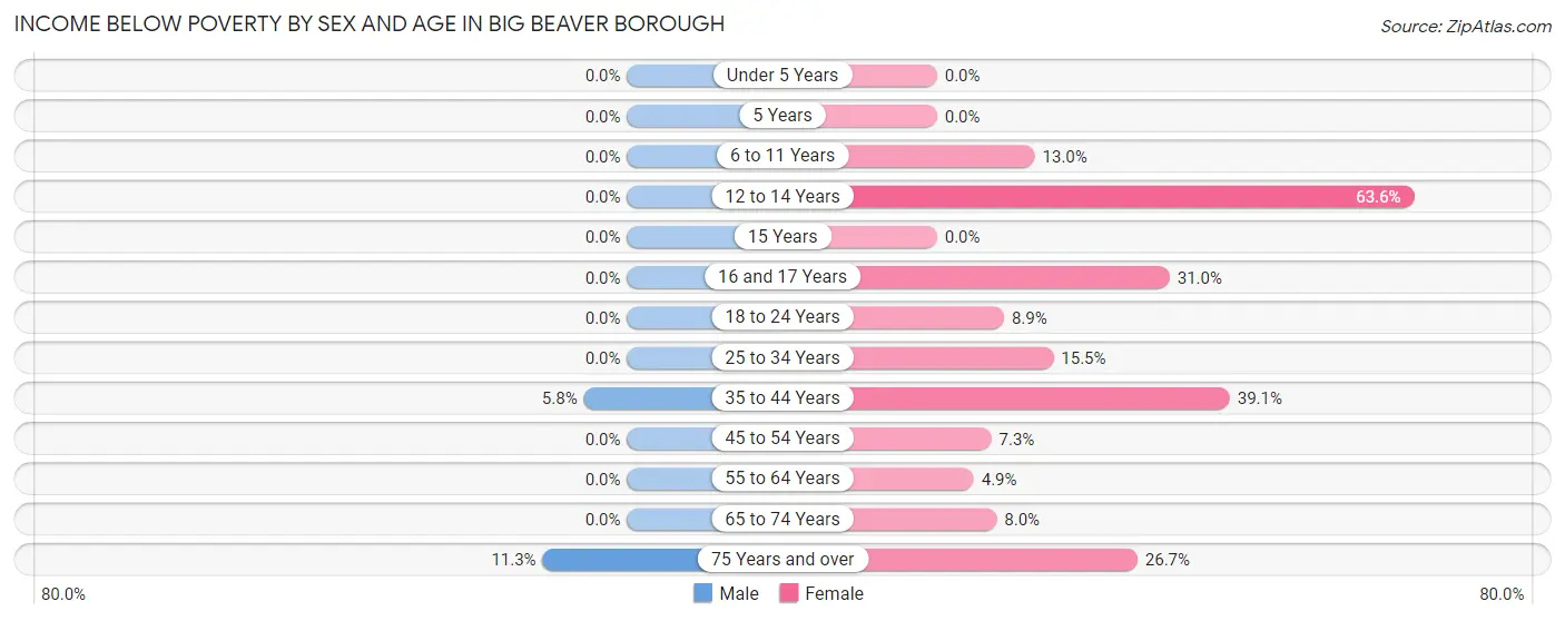 Income Below Poverty by Sex and Age in Big Beaver borough