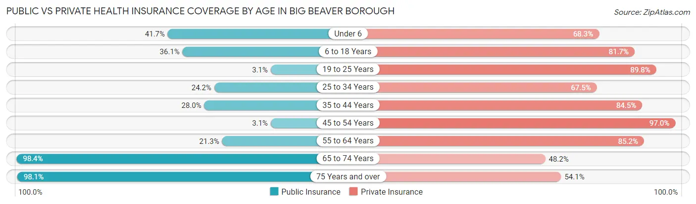 Public vs Private Health Insurance Coverage by Age in Big Beaver borough