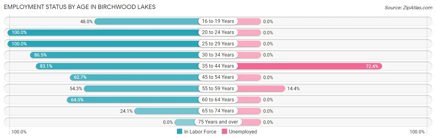 Employment Status by Age in Birchwood Lakes