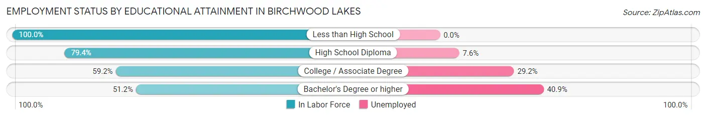 Employment Status by Educational Attainment in Birchwood Lakes