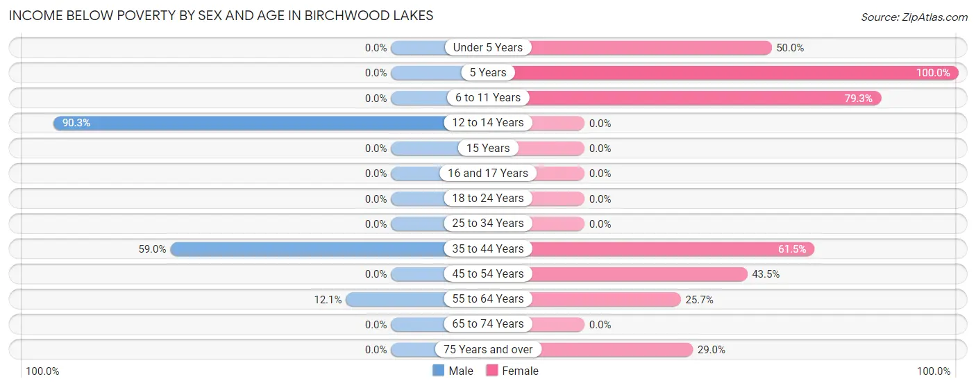 Income Below Poverty by Sex and Age in Birchwood Lakes