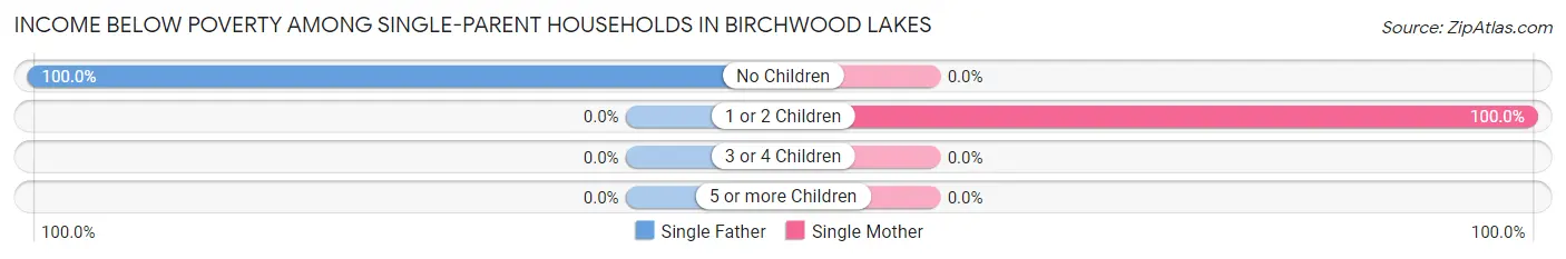 Income Below Poverty Among Single-Parent Households in Birchwood Lakes