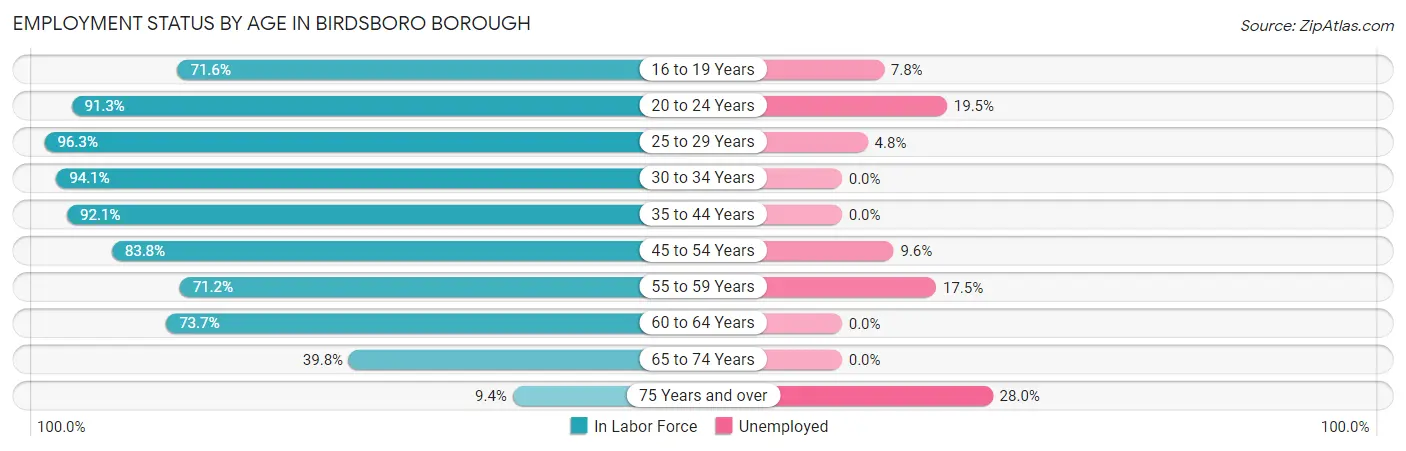 Employment Status by Age in Birdsboro borough