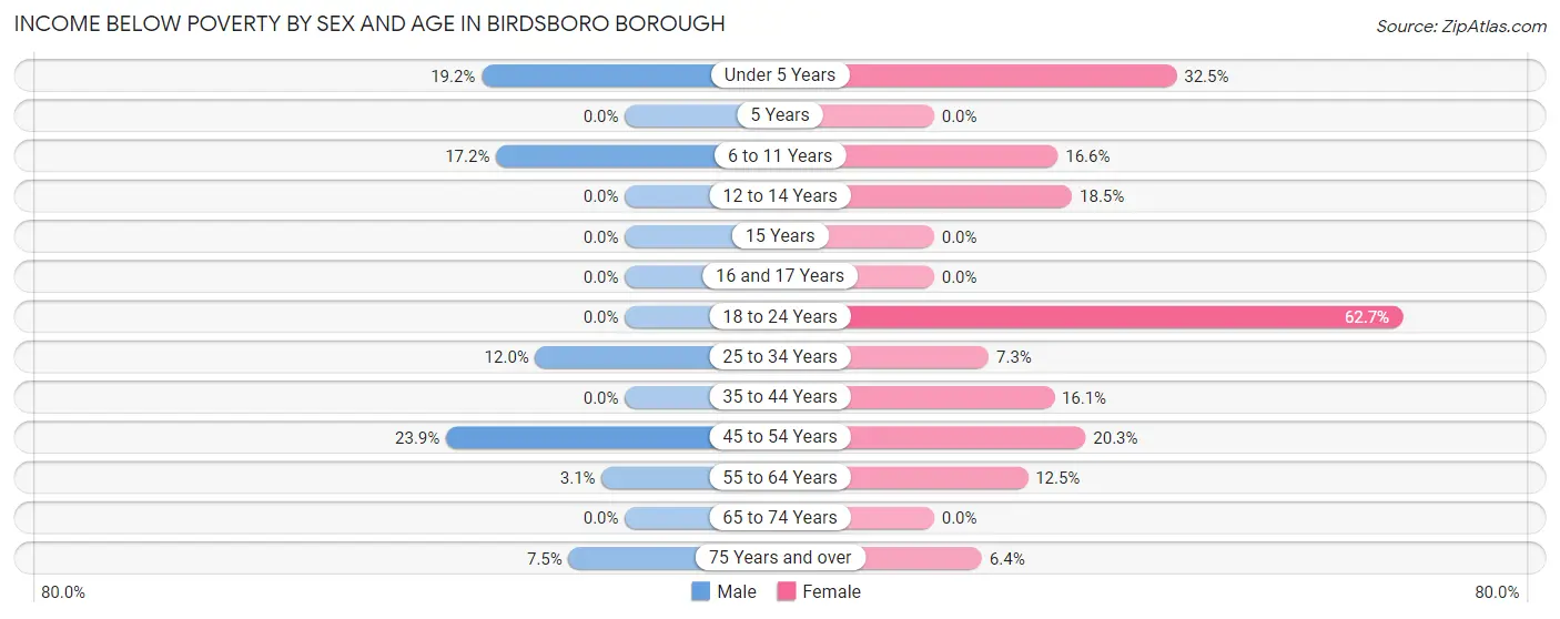 Income Below Poverty by Sex and Age in Birdsboro borough