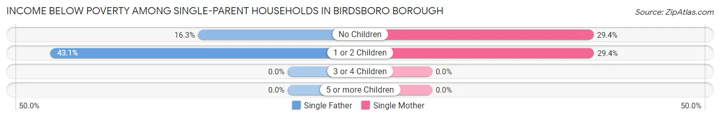 Income Below Poverty Among Single-Parent Households in Birdsboro borough