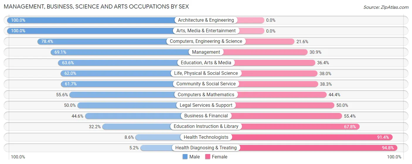 Management, Business, Science and Arts Occupations by Sex in Birdsboro borough
