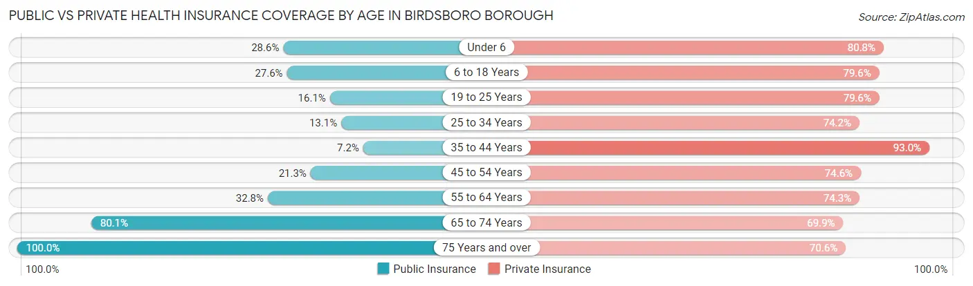 Public vs Private Health Insurance Coverage by Age in Birdsboro borough