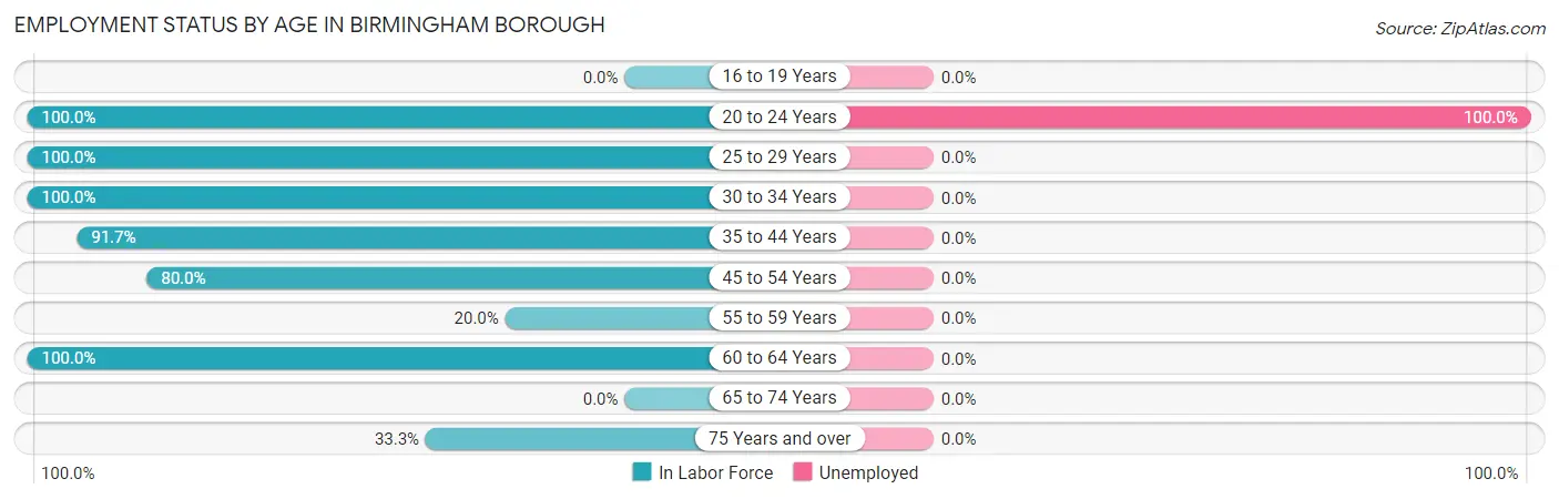 Employment Status by Age in Birmingham borough