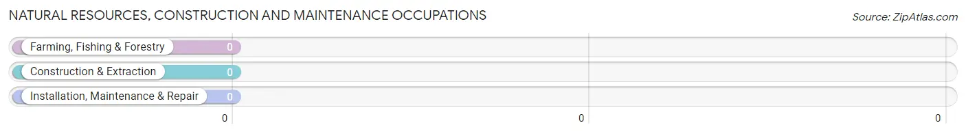 Natural Resources, Construction and Maintenance Occupations in Birmingham borough