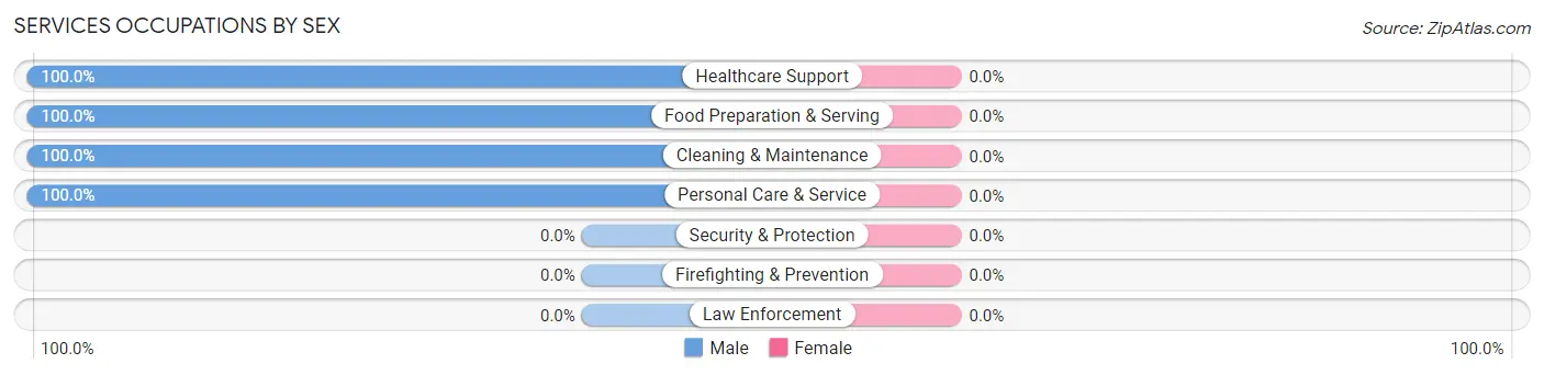 Services Occupations by Sex in Birmingham borough