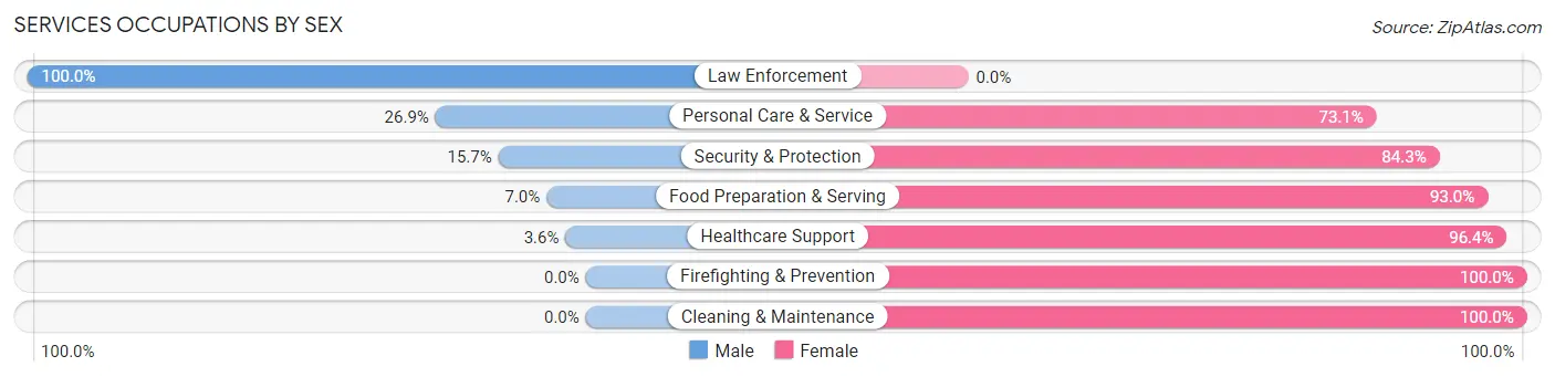 Services Occupations by Sex in Blairsville borough
