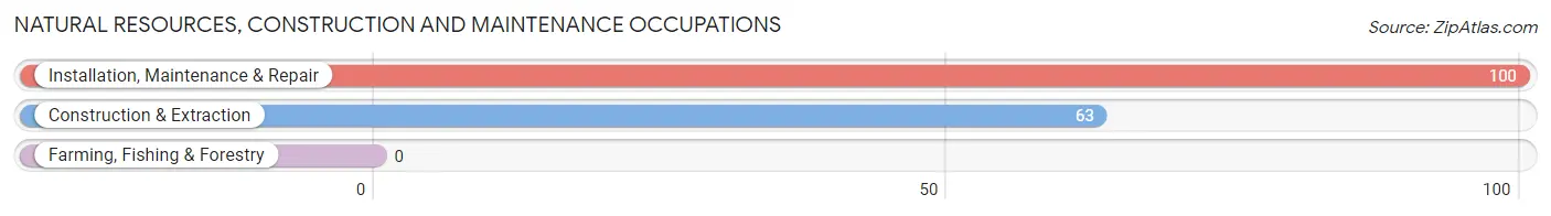 Natural Resources, Construction and Maintenance Occupations in Blakely borough