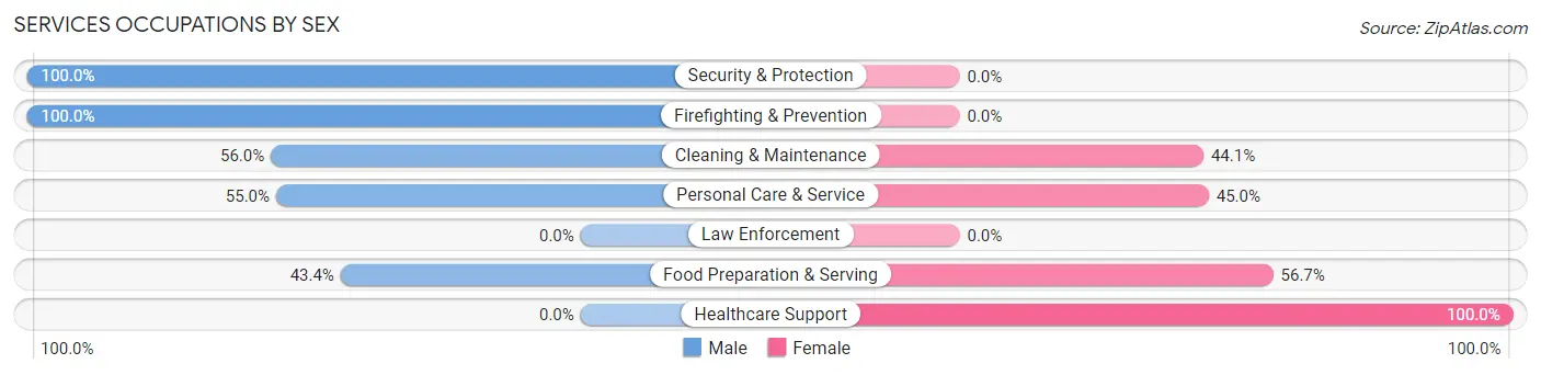 Services Occupations by Sex in Blakely borough