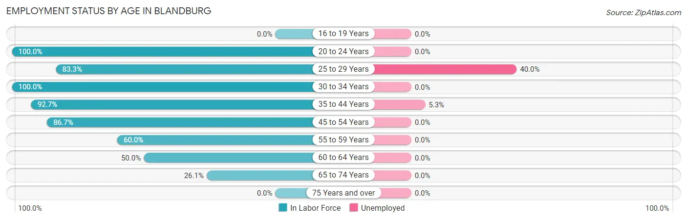 Employment Status by Age in Blandburg