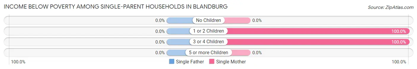 Income Below Poverty Among Single-Parent Households in Blandburg