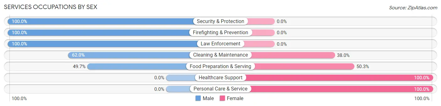 Services Occupations by Sex in Blandon