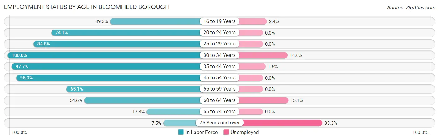 Employment Status by Age in Bloomfield borough
