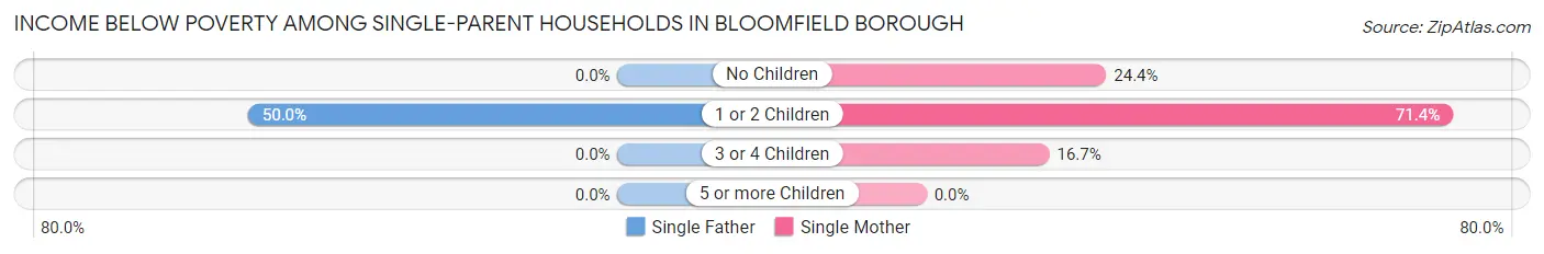 Income Below Poverty Among Single-Parent Households in Bloomfield borough