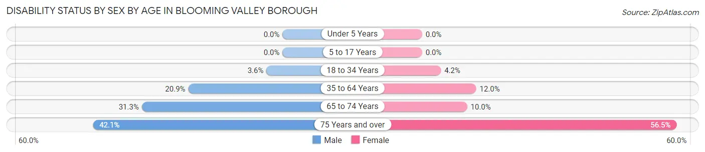 Disability Status by Sex by Age in Blooming Valley borough