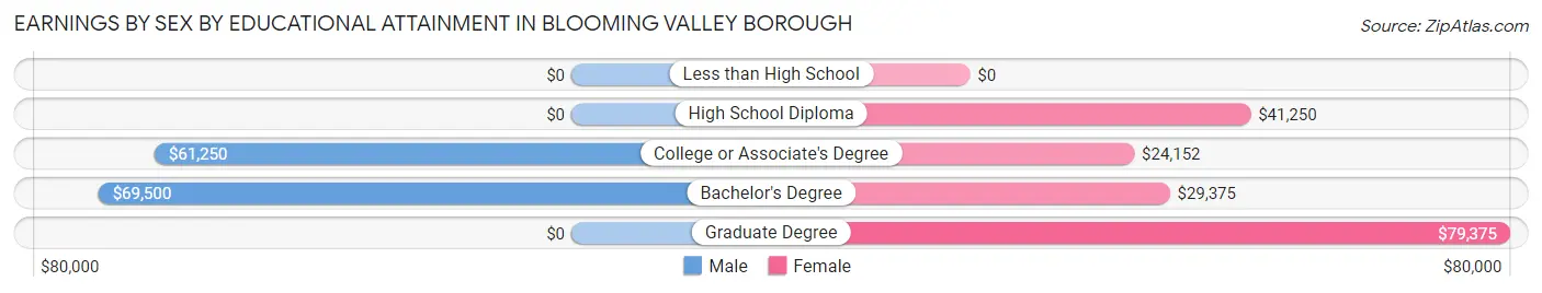 Earnings by Sex by Educational Attainment in Blooming Valley borough
