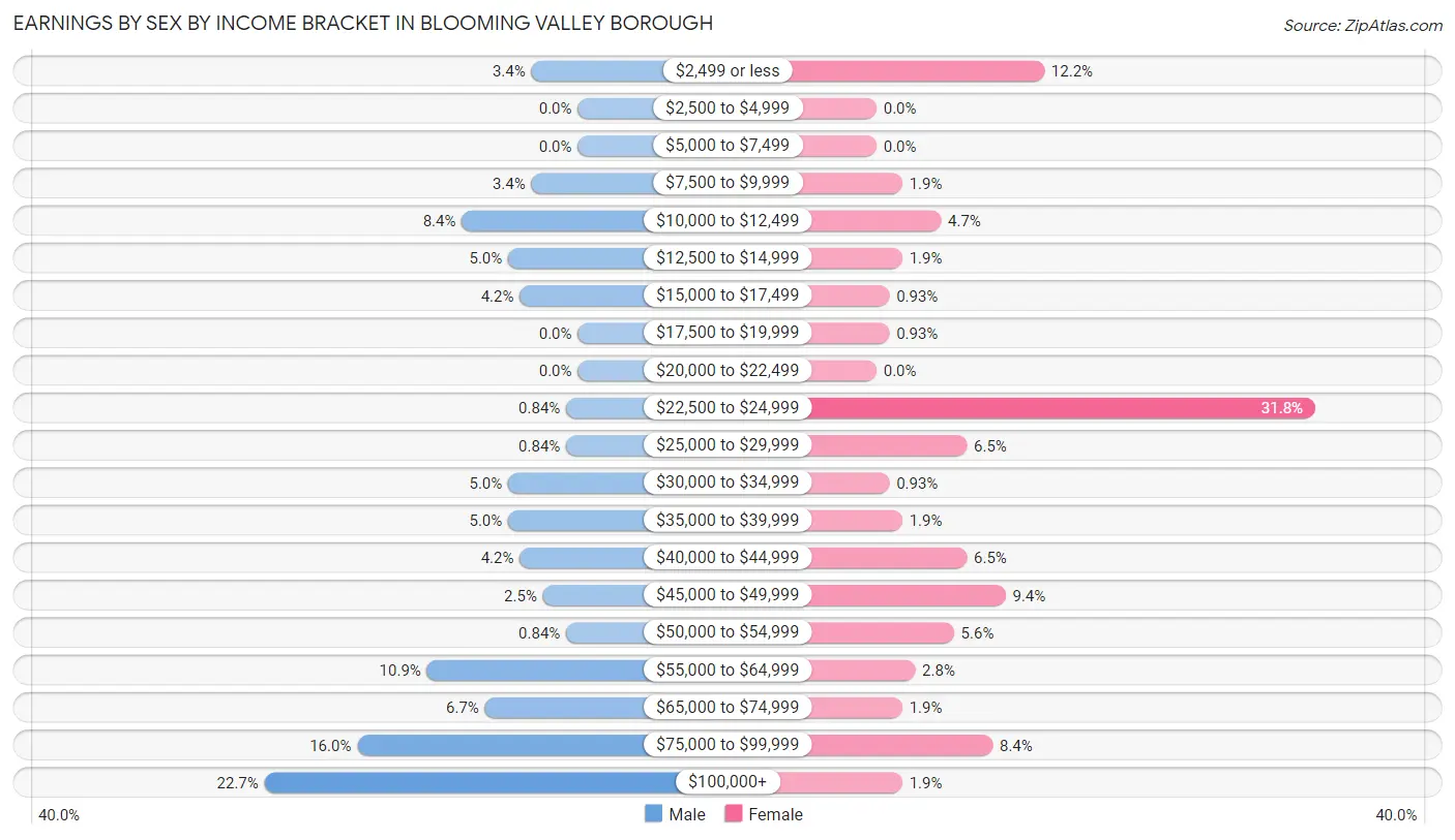 Earnings by Sex by Income Bracket in Blooming Valley borough