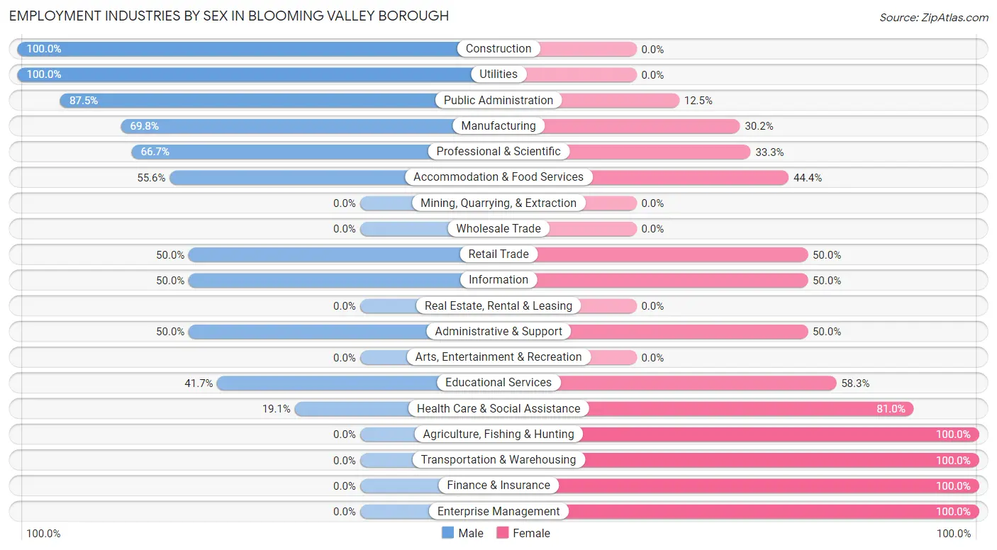 Employment Industries by Sex in Blooming Valley borough