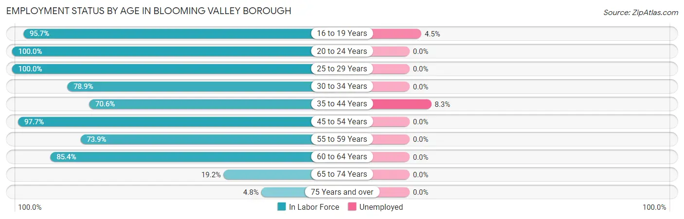 Employment Status by Age in Blooming Valley borough
