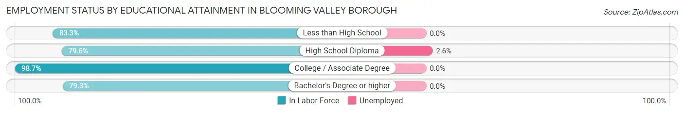 Employment Status by Educational Attainment in Blooming Valley borough