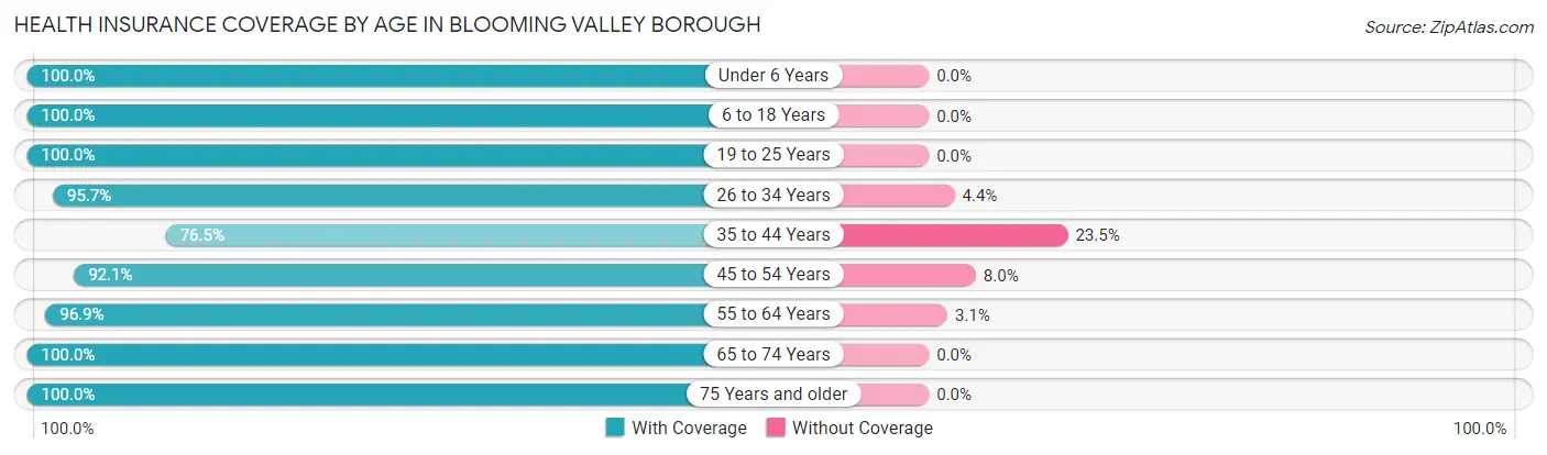 Health Insurance Coverage by Age in Blooming Valley borough