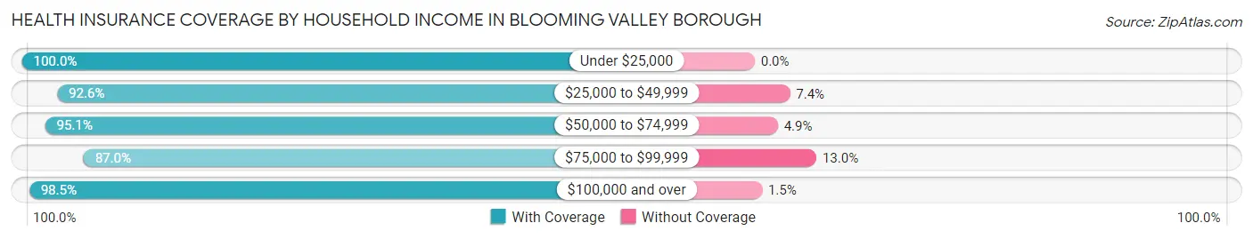 Health Insurance Coverage by Household Income in Blooming Valley borough