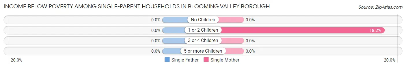 Income Below Poverty Among Single-Parent Households in Blooming Valley borough